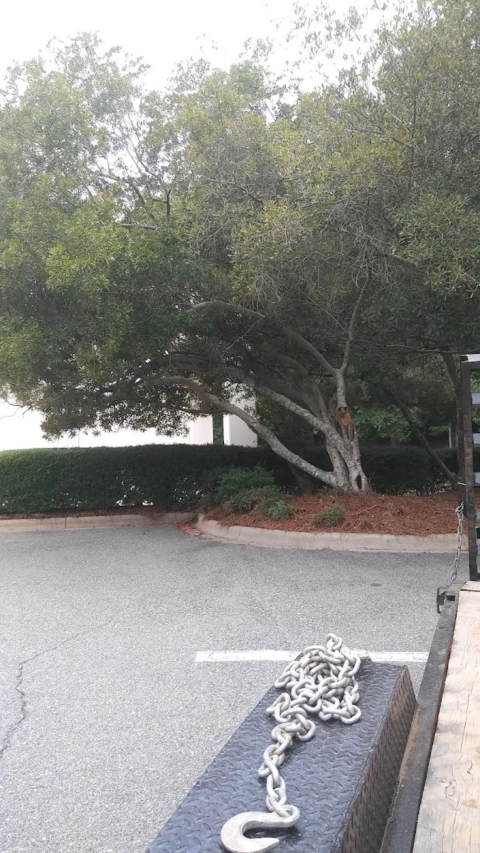 Temple Israel de Charlotte — photo 9