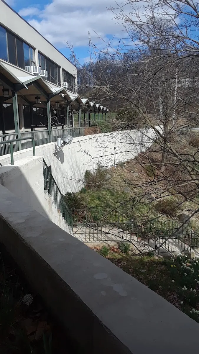 Temple Israel — foto 4