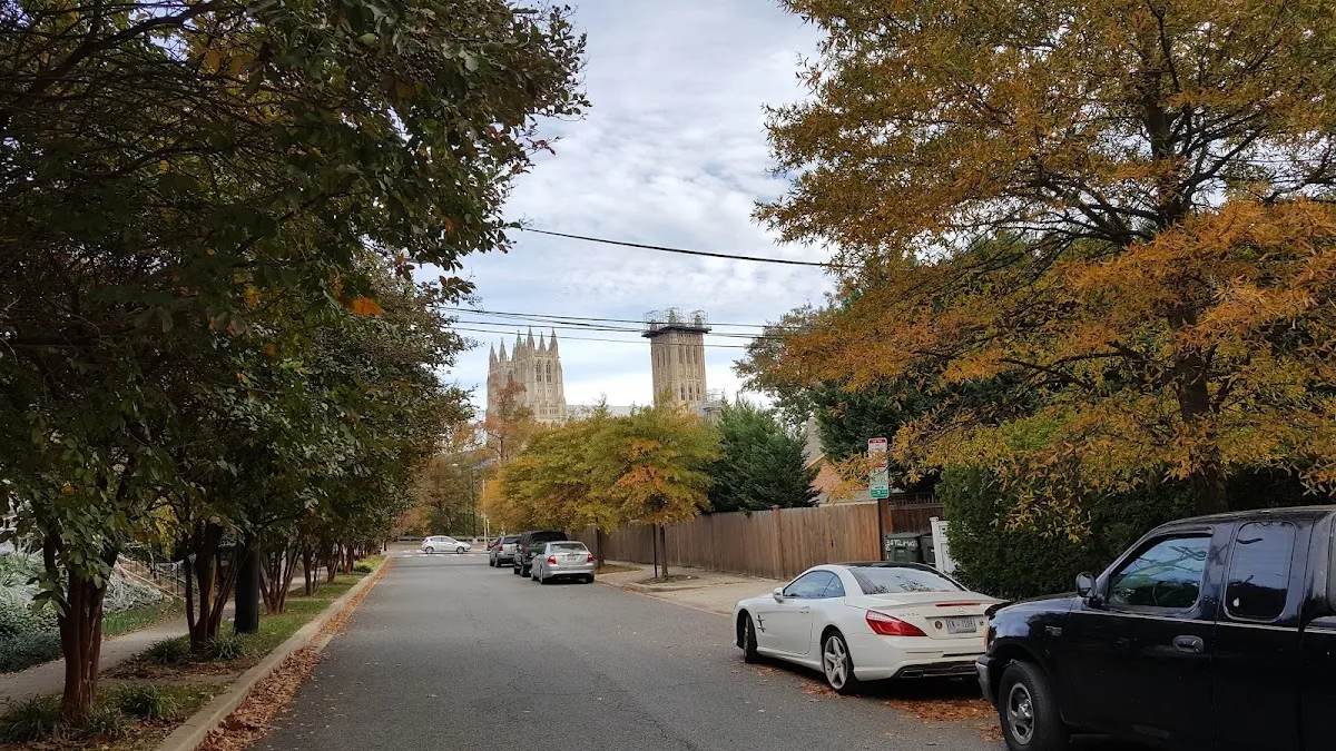 Temple Micah — photo 7