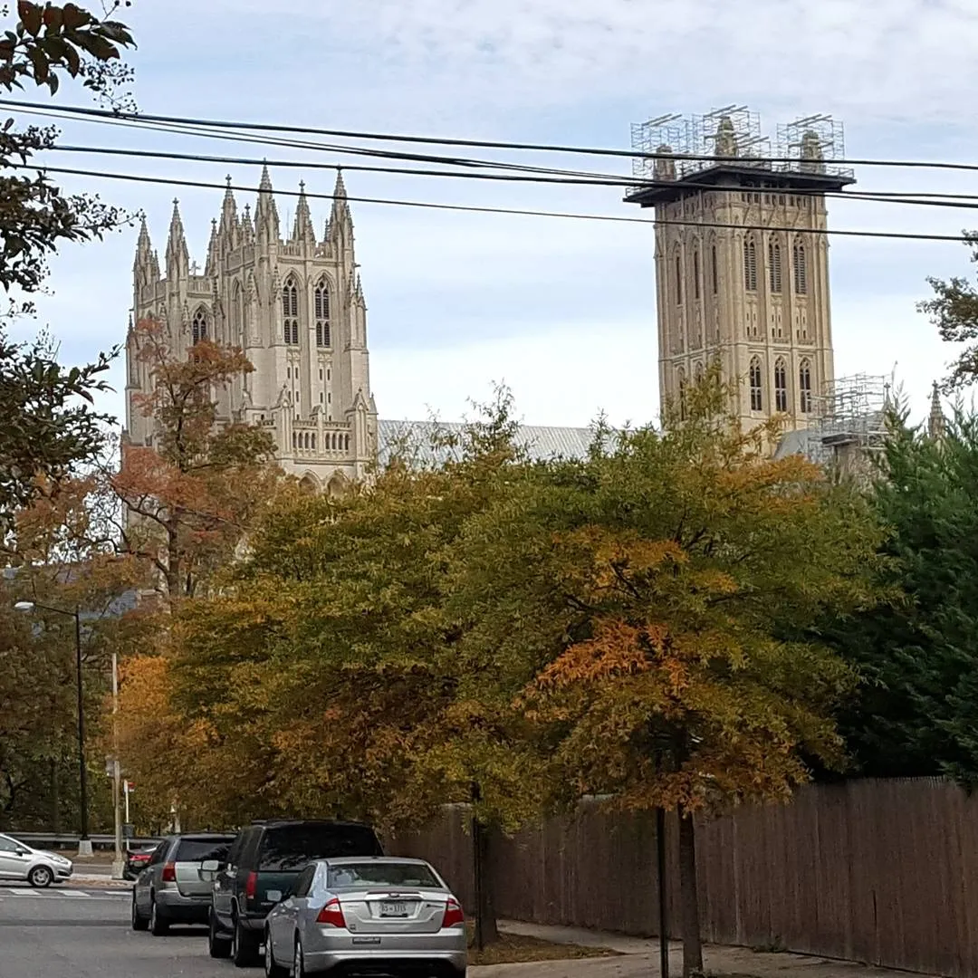 Temple Micah — photo 9