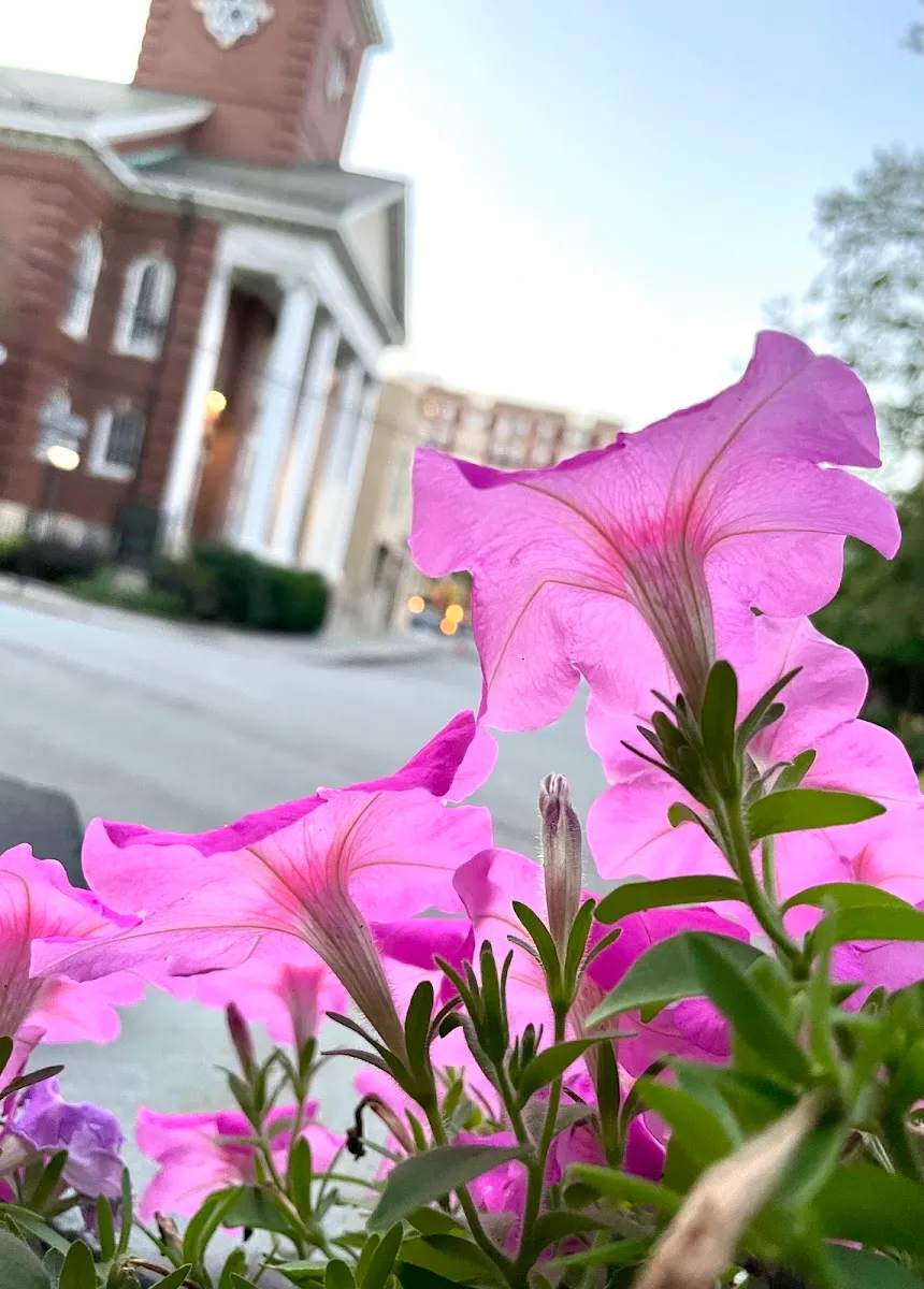 Temple Sinai (Brookline) — foto 9