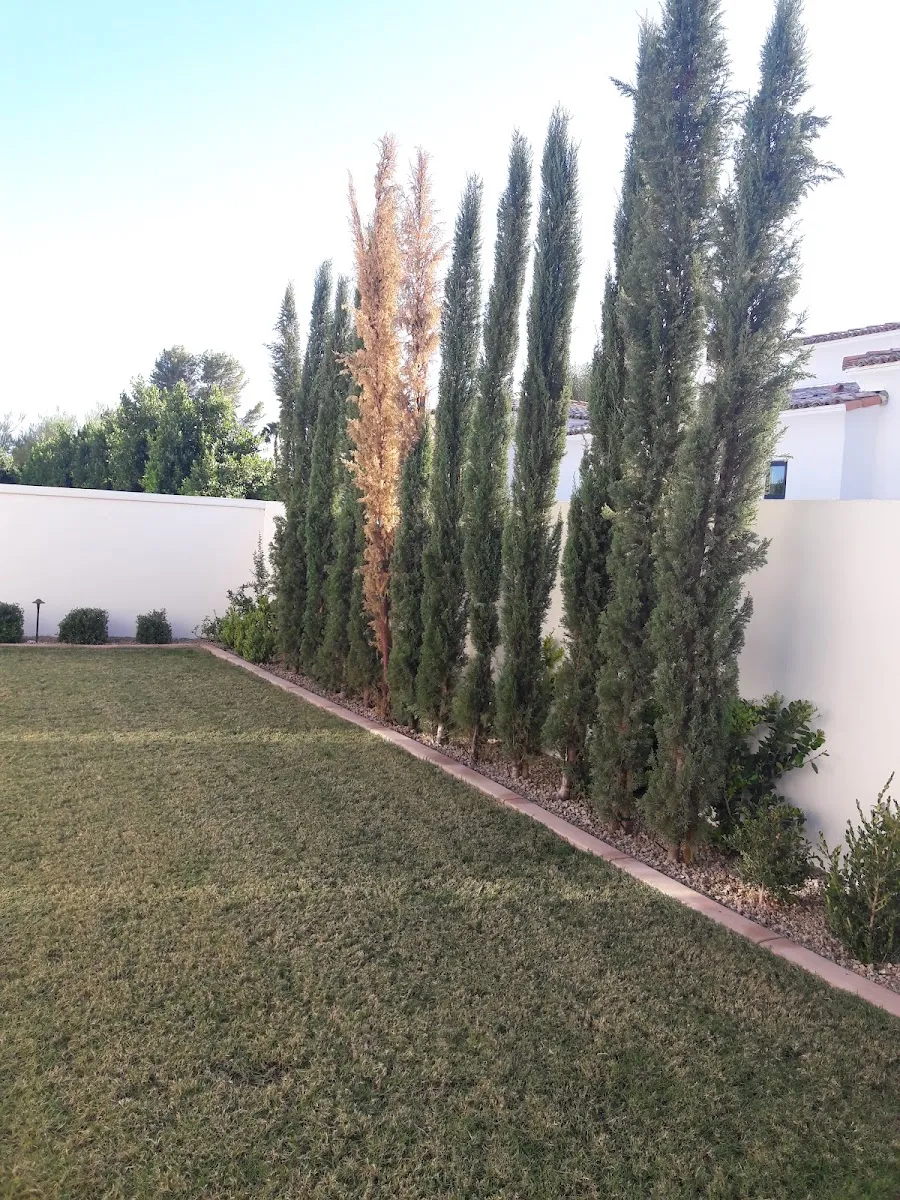 Temple Solel — foto 8