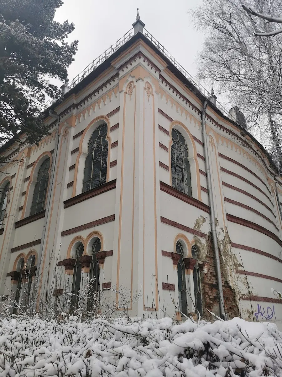 Templul Mare de Vatra Dornei — photo 3