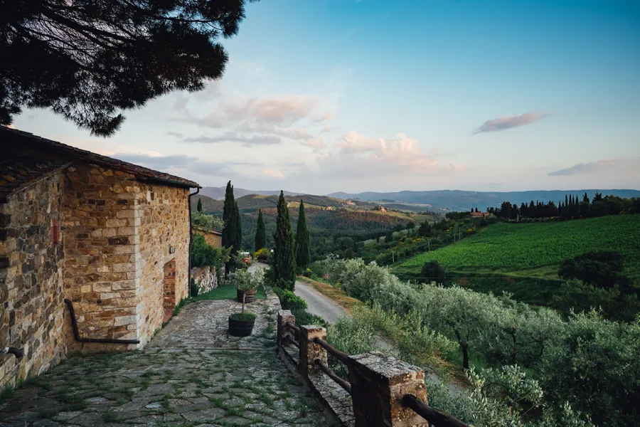 Terra di Seta — photo 7