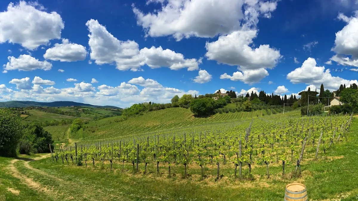 Terra di Seta — photo 9