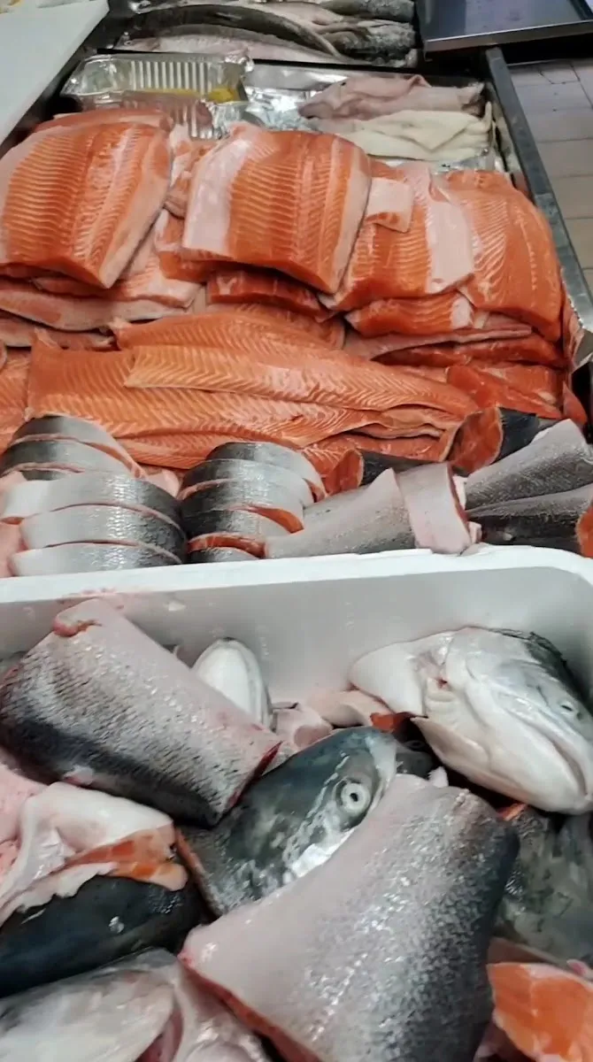 THE FISHING ROD (Livyusen Fish) — photo 6