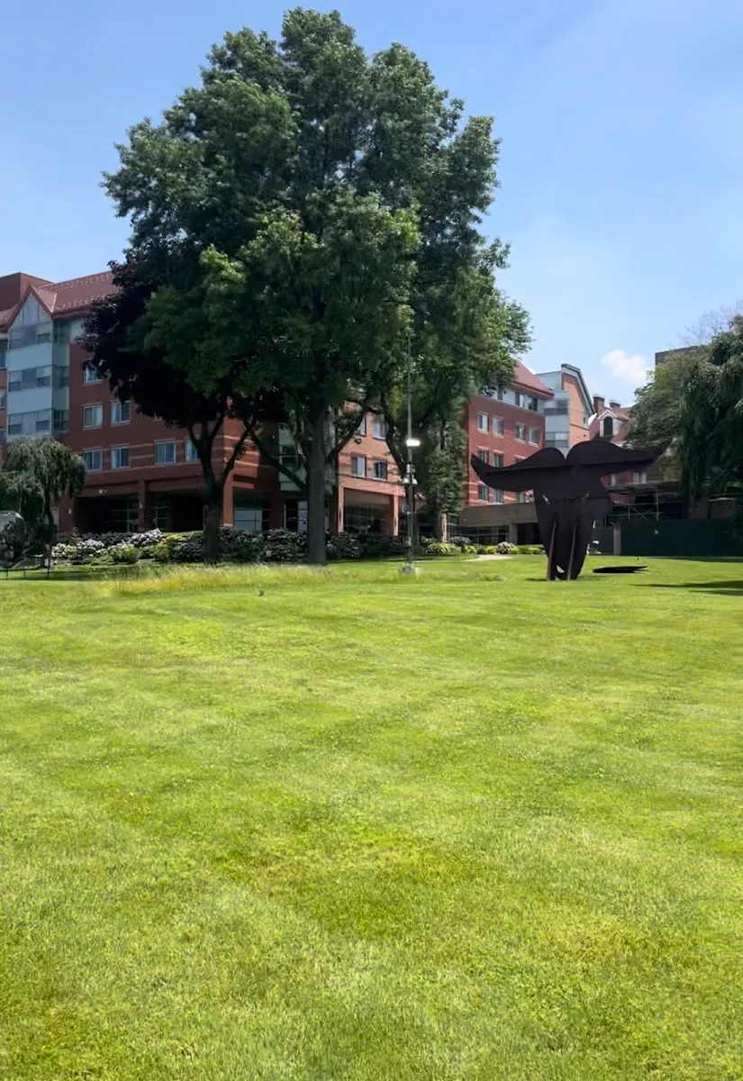 The Hebrew Home at Riverdale — photo 9
