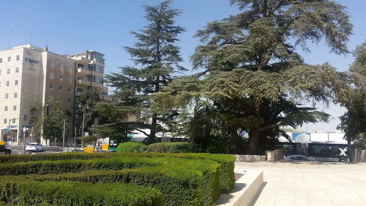 The Jewish Agency for Israel — foto 7