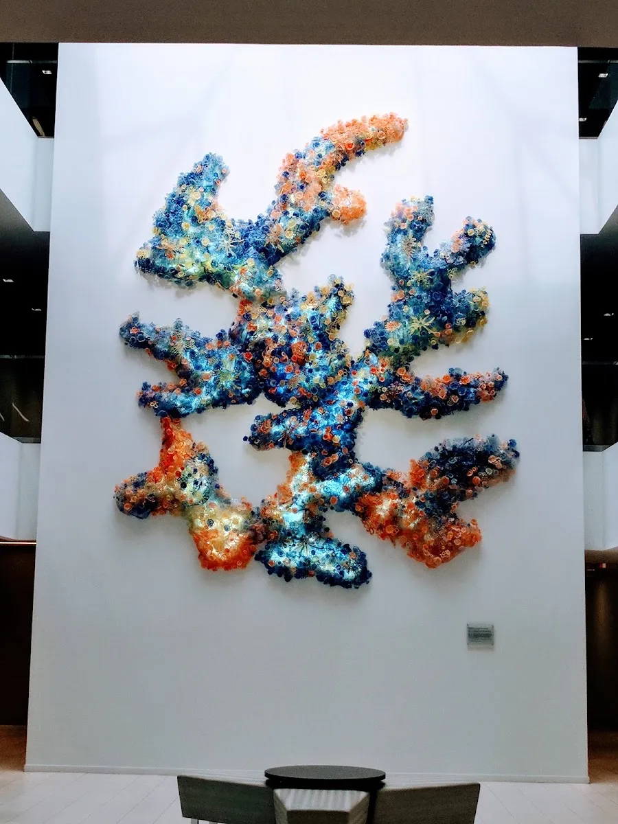 The Jewish Federation of Greater Washington — foto 6