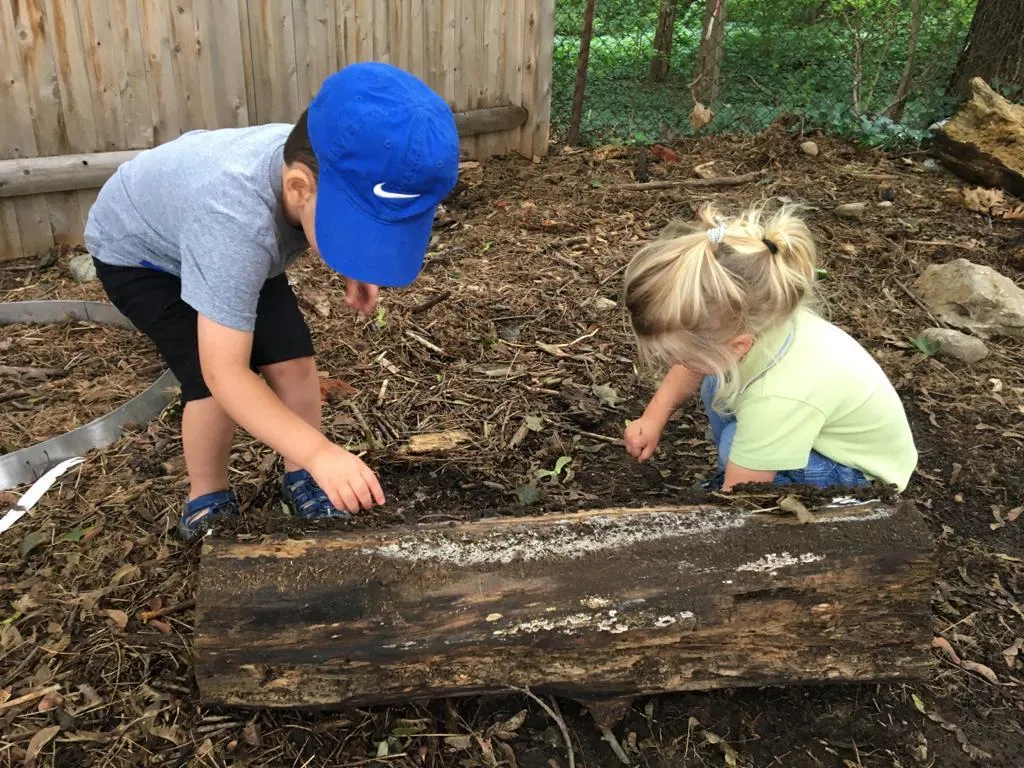 The Jewish Preschool of Lexington