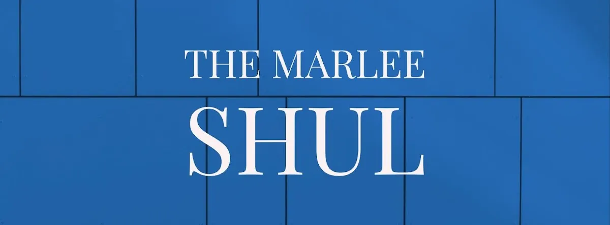 The Marlee Shul — foto 4