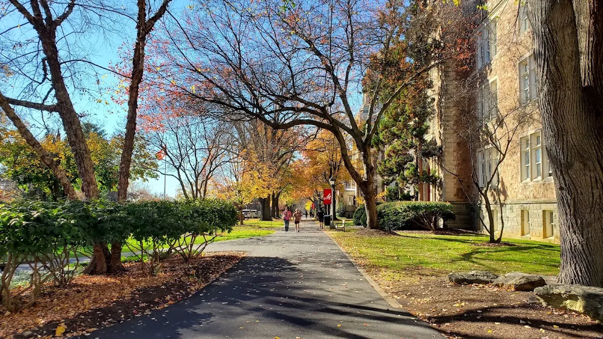 The Noshery (Muhlenberg College) — photo 3
