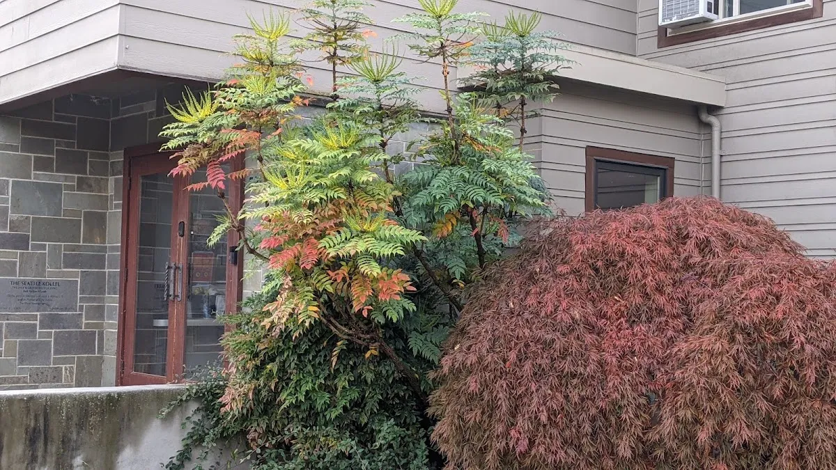The Seattle Kollel — foto 4