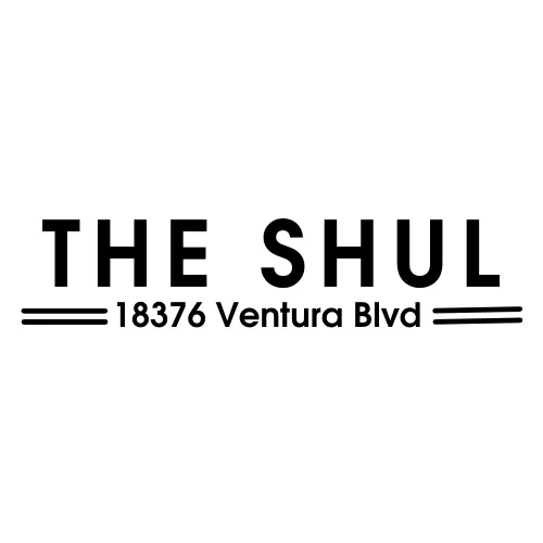 THE SHUL — photo 2