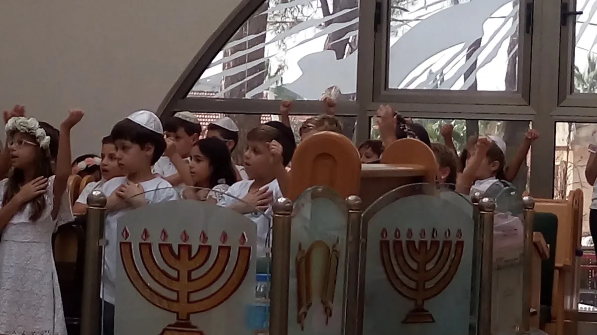 Tiferet Bachurim Synagogue — foto 5