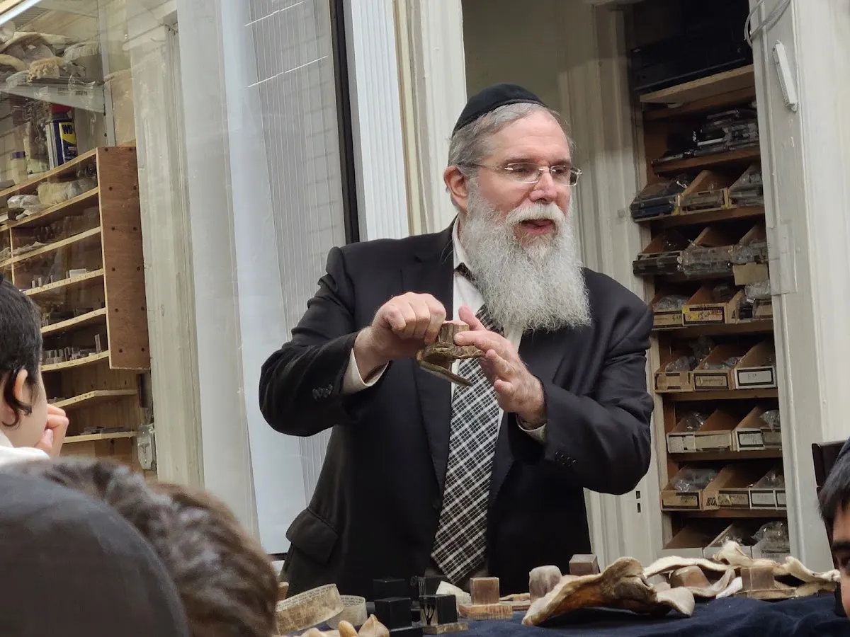 Tiferet Stam Judaica — photo 9