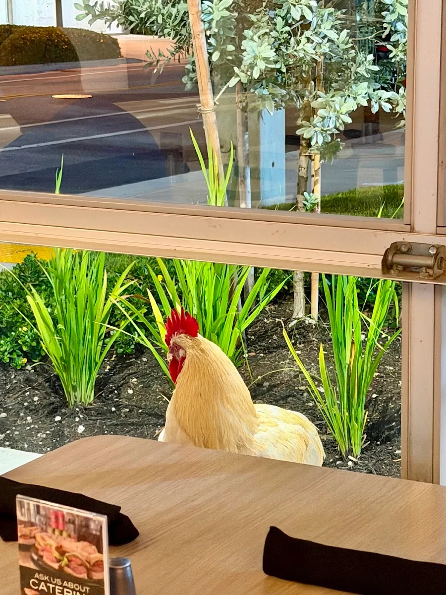Top Hat Deli — foto 5