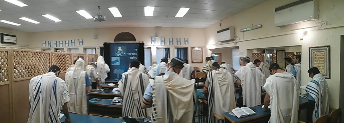 Torah VeChaim Synagogue — foto 7