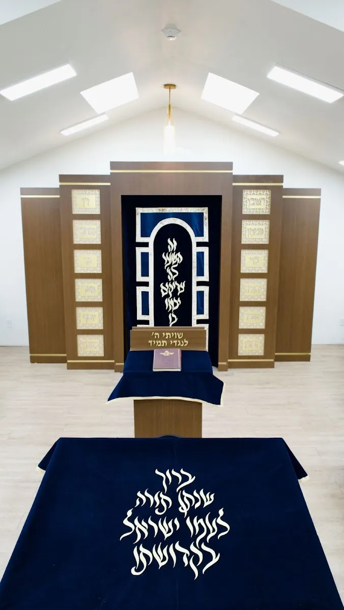 Toras Dovid — photo 4