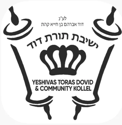 Toras Dovid — photo 6