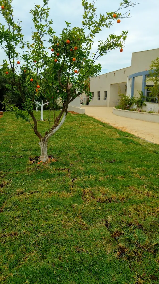 Torat Chaim Synagogue — foto 8