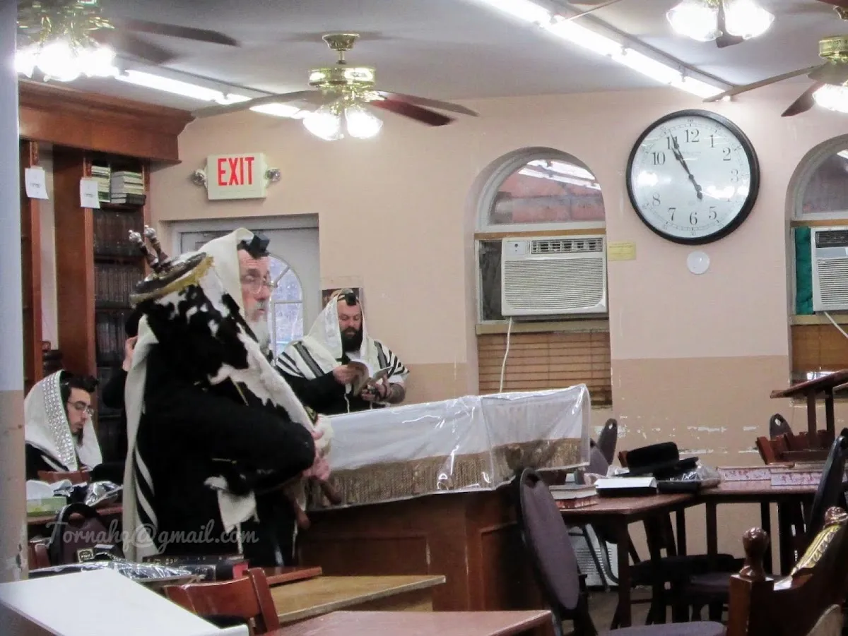 Torna Shul — foto 5