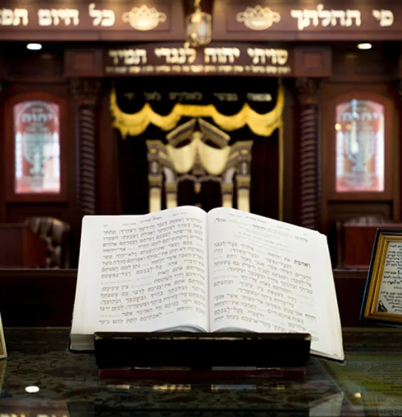 TOV Bet Midrash — foto 4