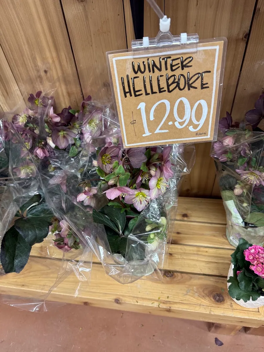 Trader Joe's — foto 6