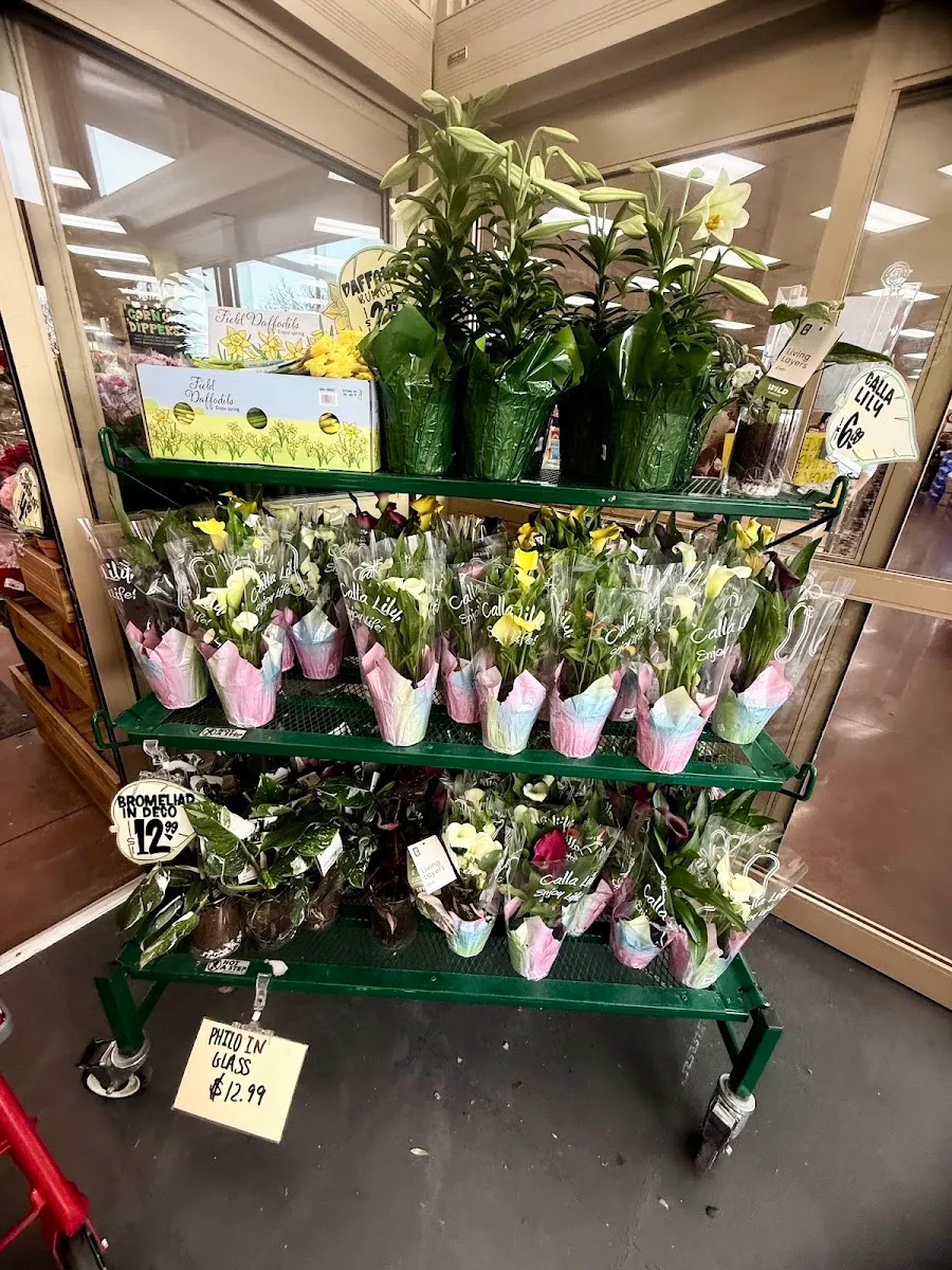 Trader Joe's — foto 7
