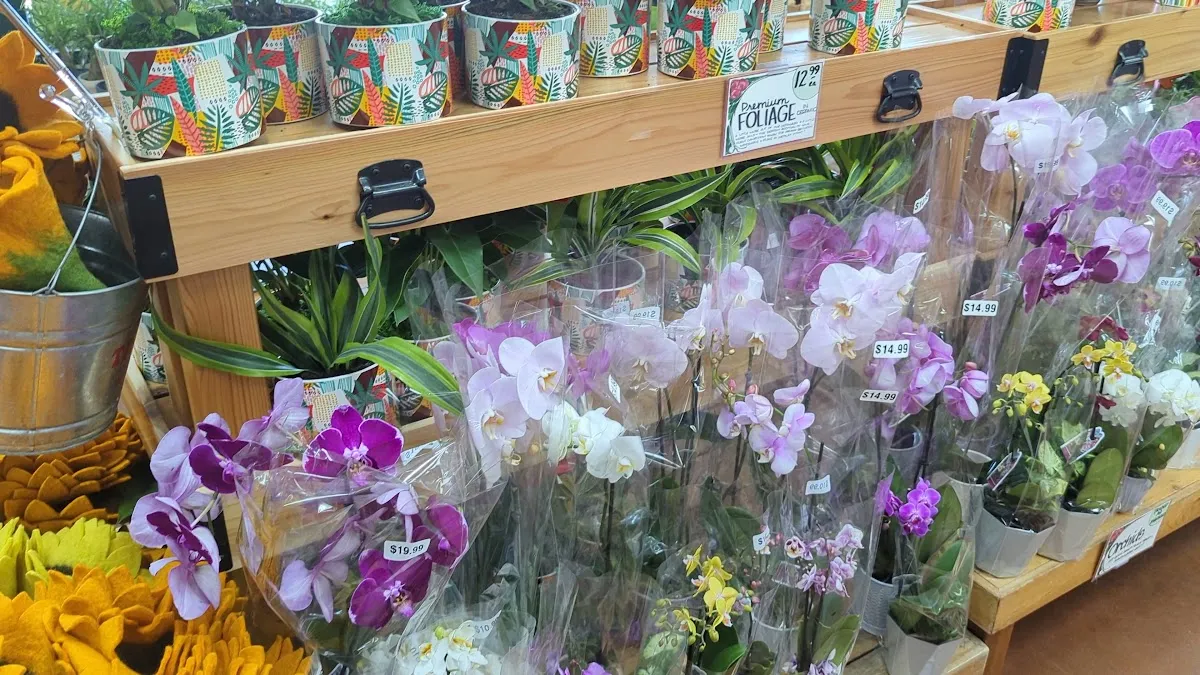 Trader Joe's — foto 2