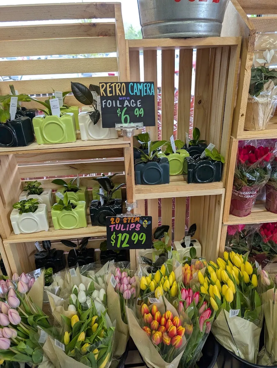 Trader Joe's — foto 5