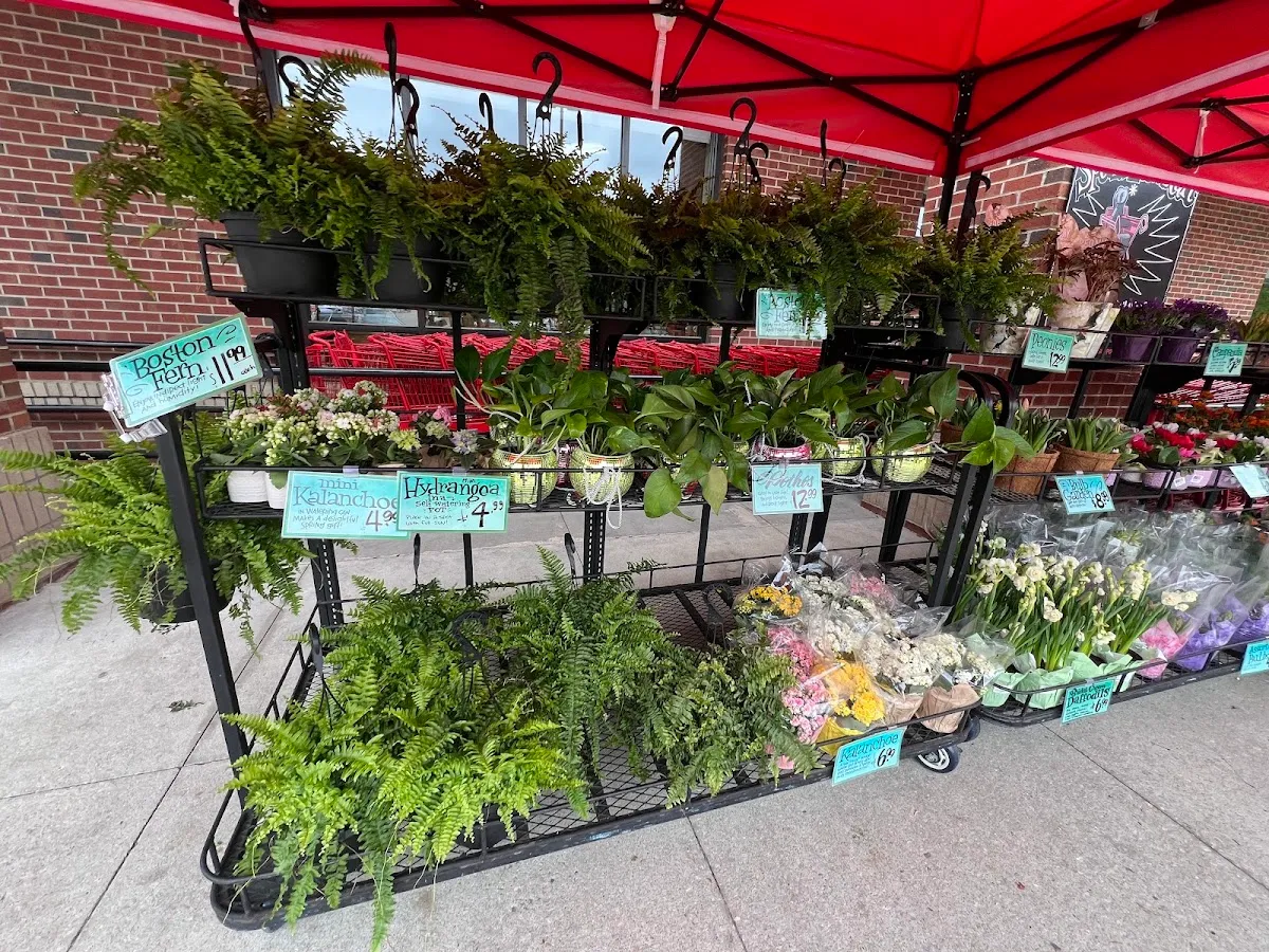 Trader Joe's (Cary) — photo 8