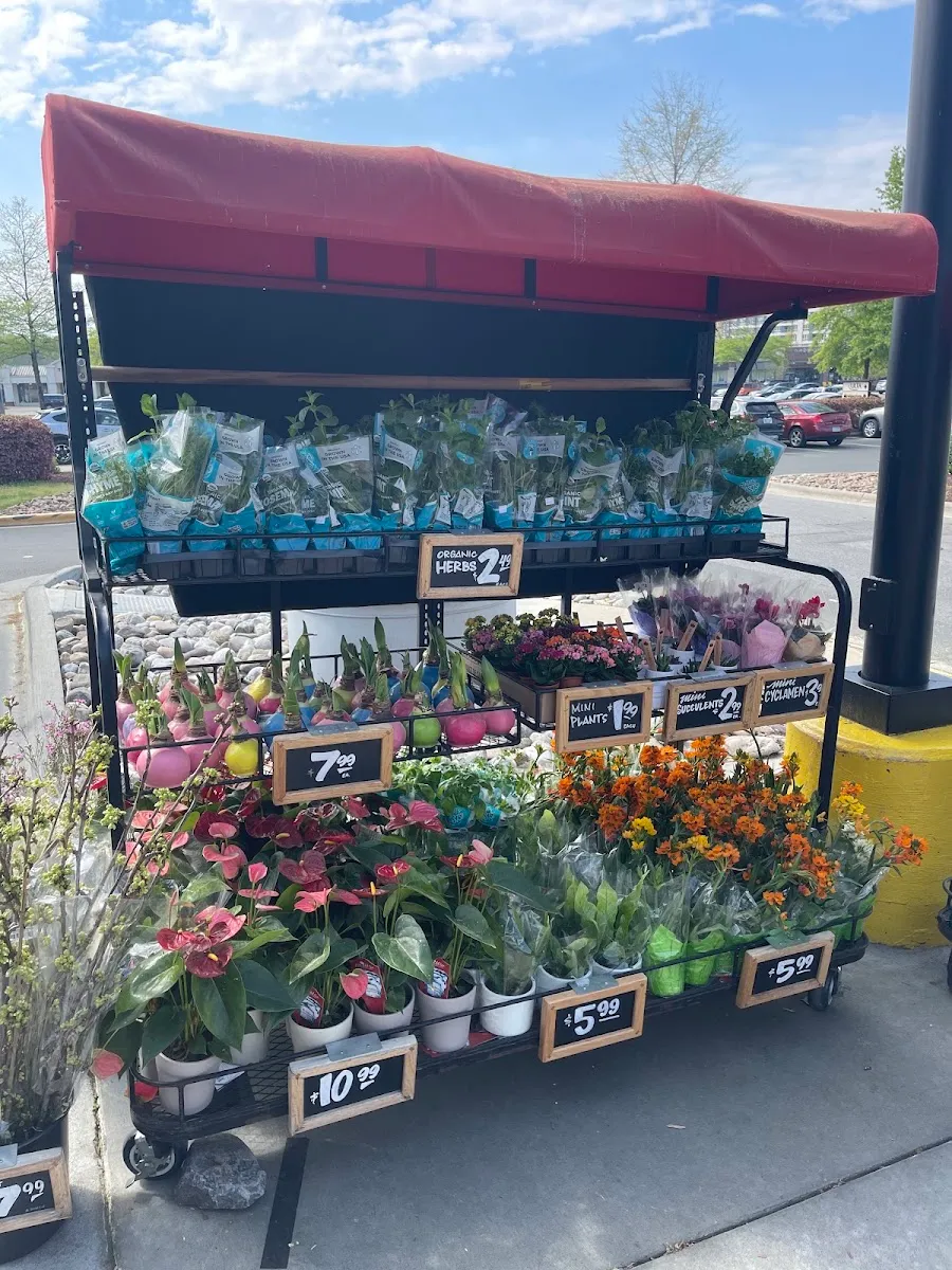 Trader Joe's (Chapel Hill) — photo 7