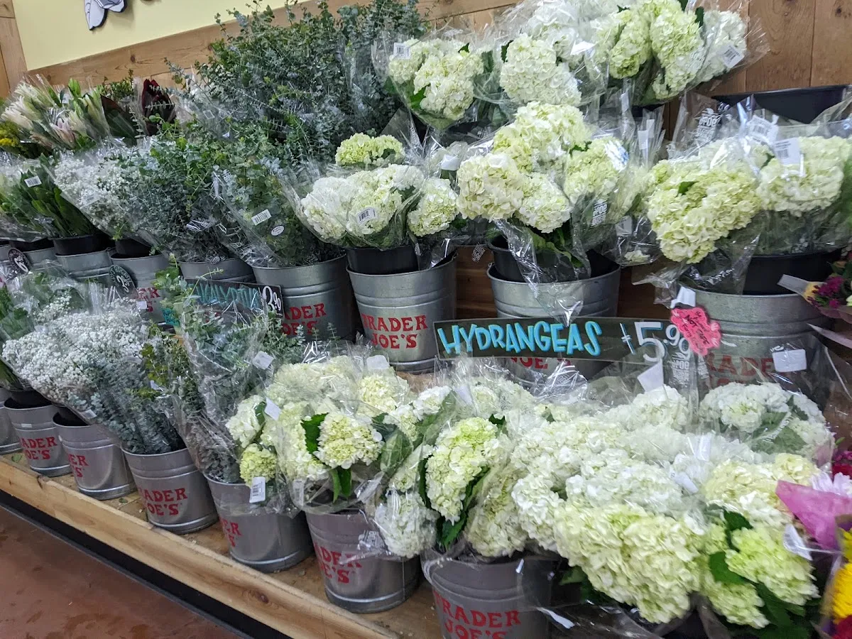 Trader Joe's (Forest Drive) — photo 4
