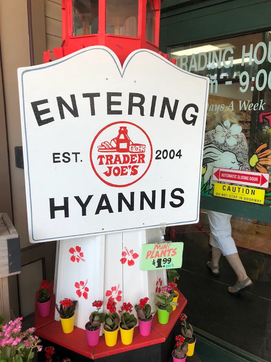 Trader Joe's (Hyannis) — photo 7