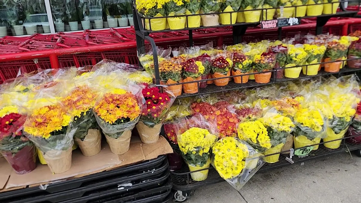 Trader Joe's (Jacksonville Beach) — photo 9