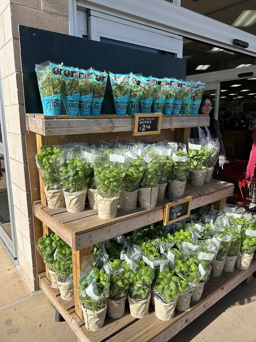 Trader Joe's (Kentwood) — photo 5
