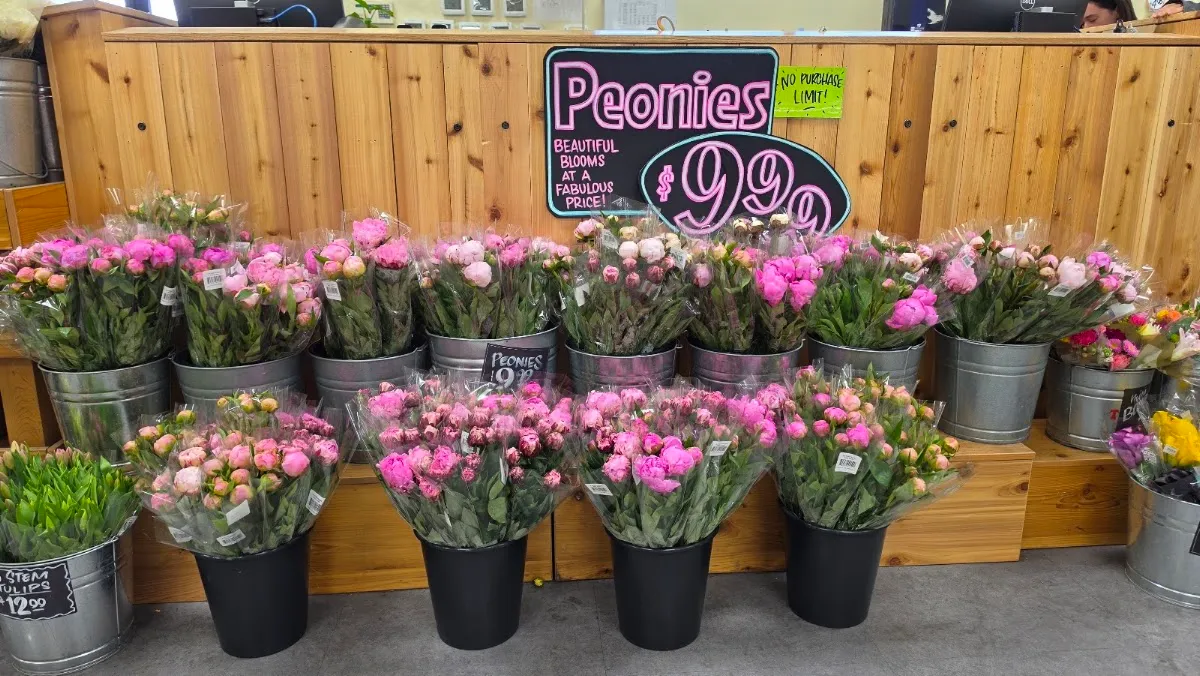 Trader Joe's (Lincoln Village) — photo 6