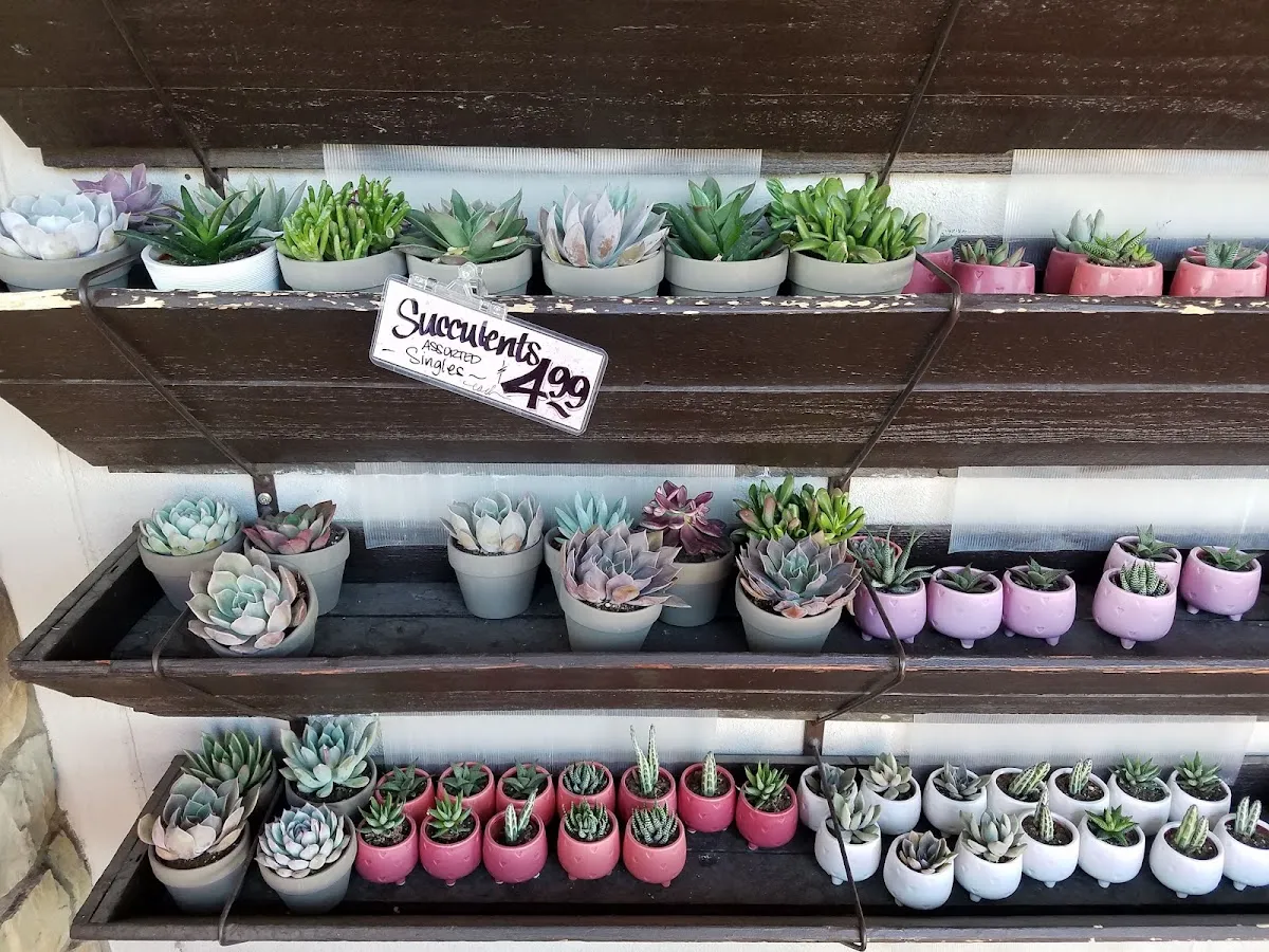 Trader Joe's (Lincoln Village) — photo 9