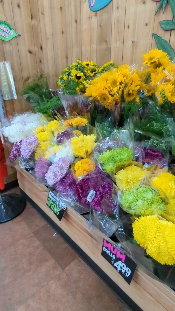Trader Joe's (Nashua) — photo 2