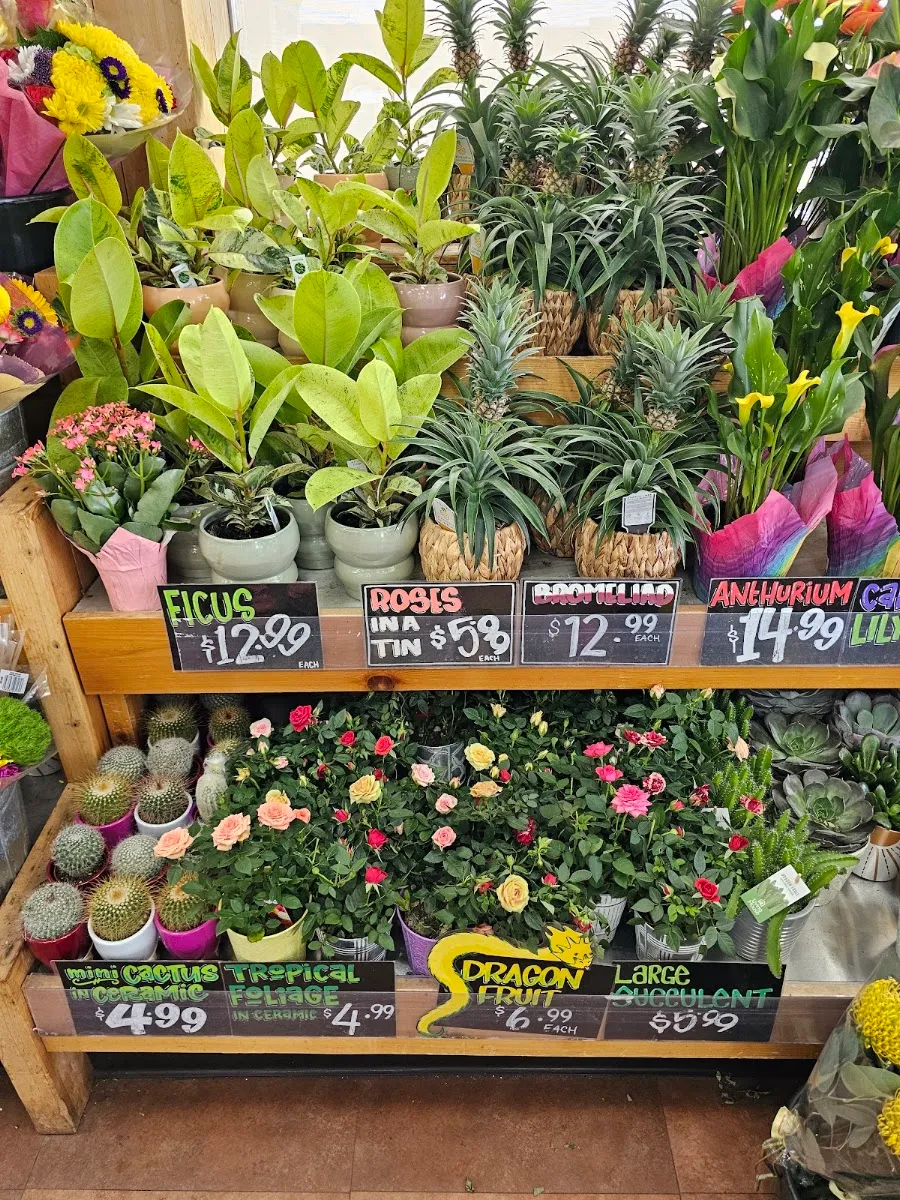 Trader Joe's (Nashua) — photo 5