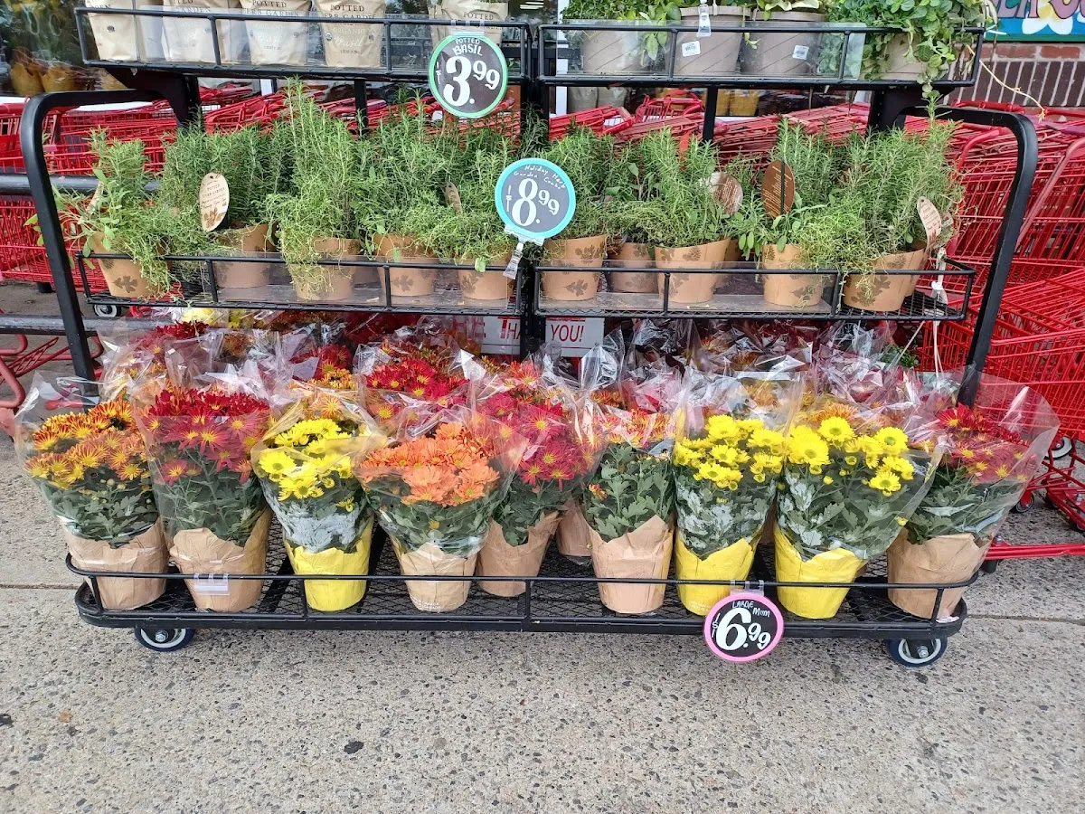 Trader Joe's (Newport News) — photo 7
