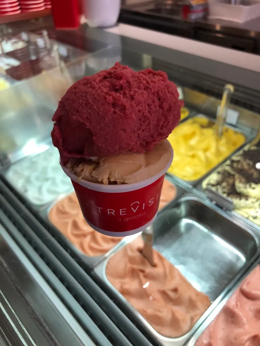 Trevisi il Gelato — foto 5