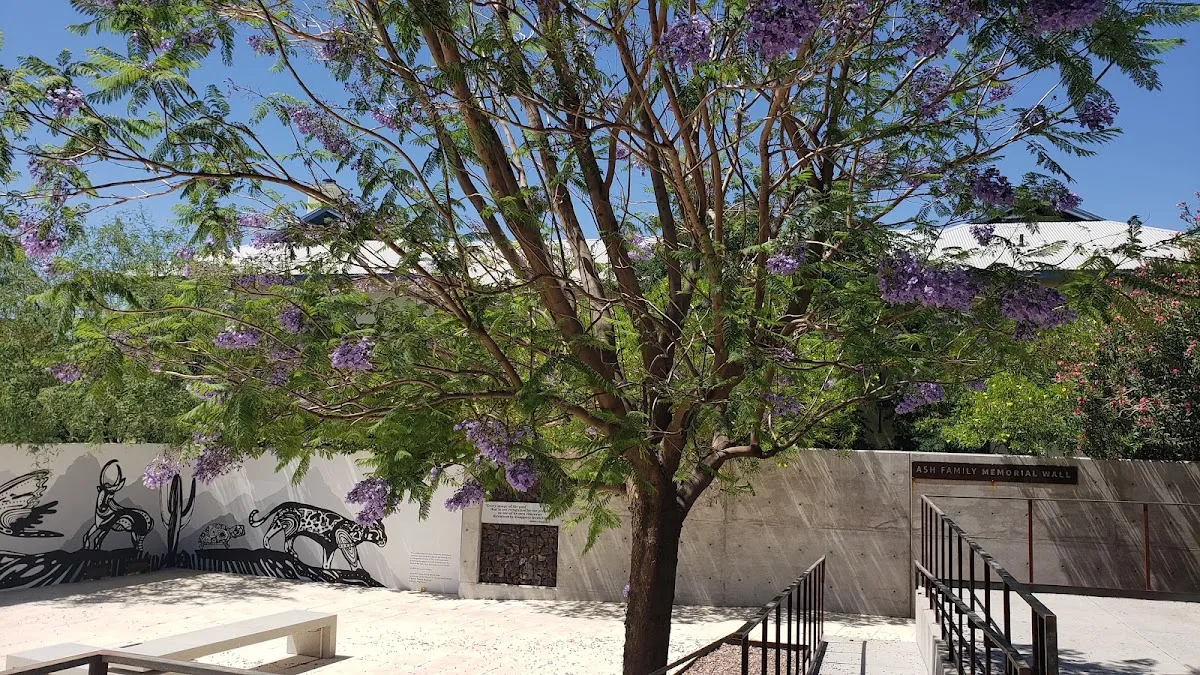 Tucson Jewish Museum & Holocaust Center — foto 9