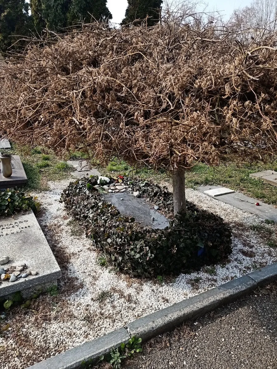 Tumba de Primo Levi — foto 4