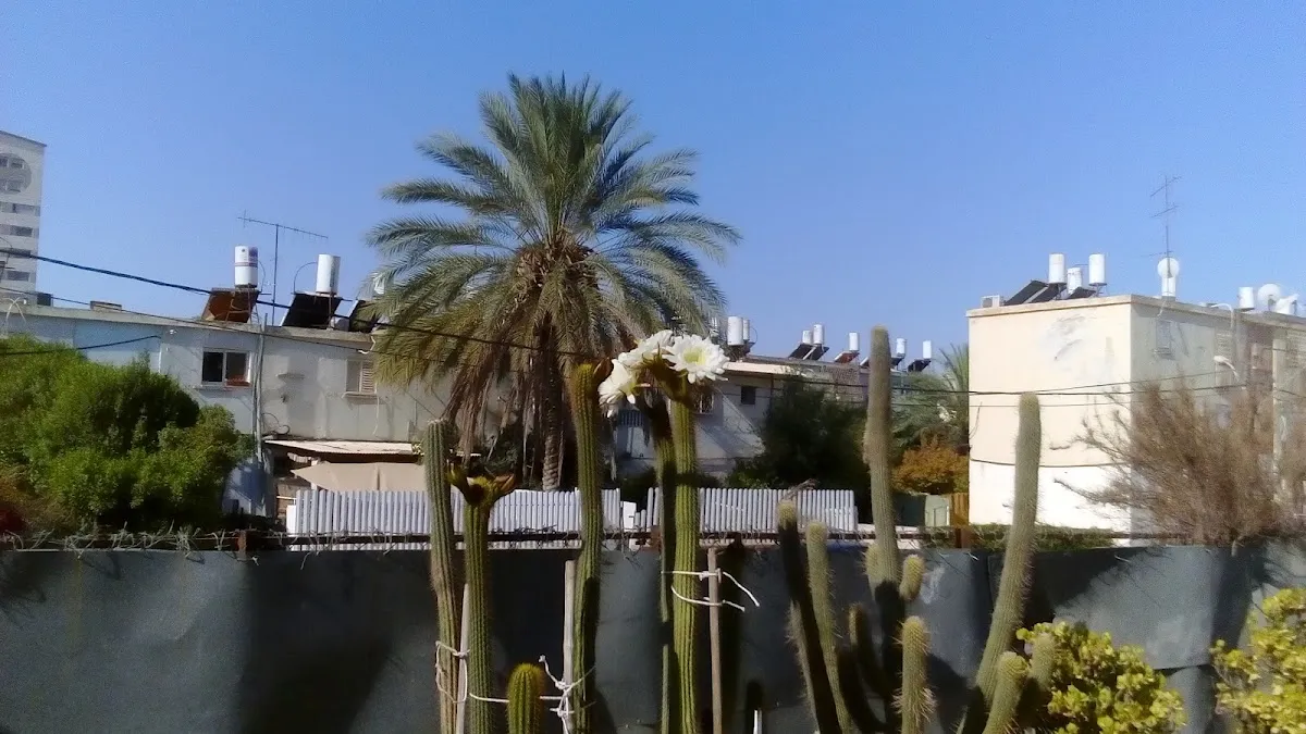 Tunisian Jews' Synagogue