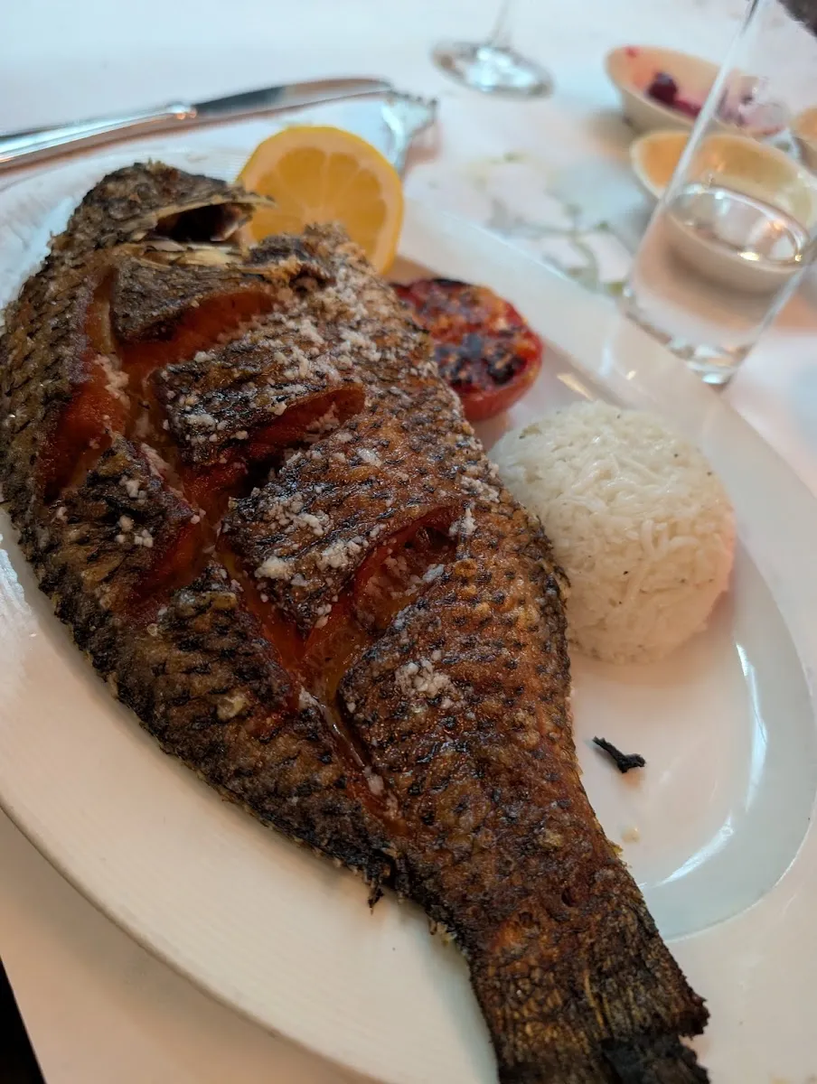 Turquoise Fish — foto 5