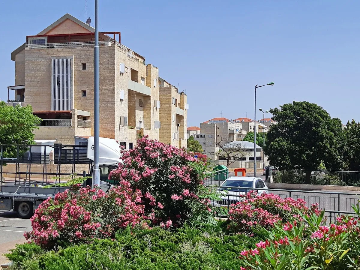 Tze'irei Kurdistan Synagogue — foto 4