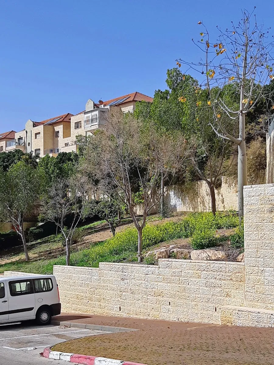 Tze'irei Kurdistan Synagogue — foto 5