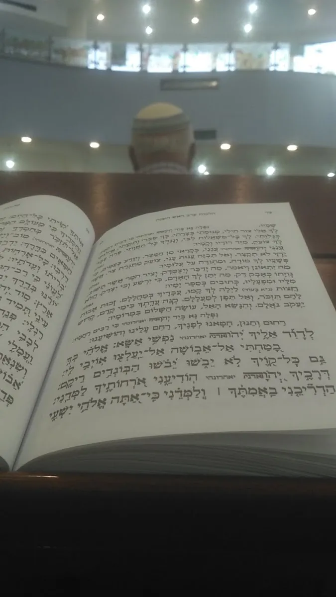 Tze'irei Kurdistan Synagogue — foto 6